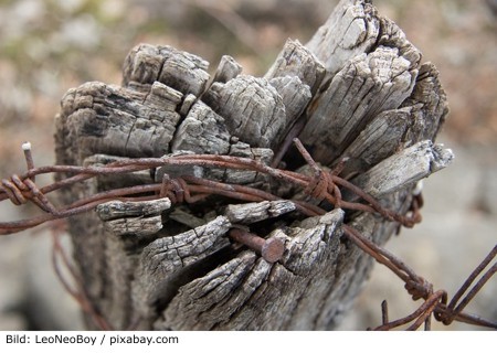 Zwangserkrankungen2 450